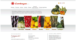 Desktop Screenshot of cambayas.com