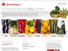 Tablet Screenshot of cambayas.com